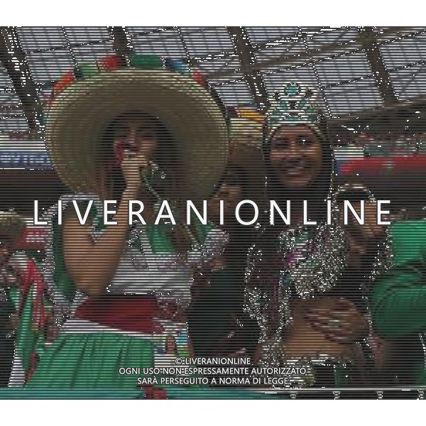 FIFA World Cup Russia 2018 Match No. 011, 2018-06-17 Germany vs Mexico Luzhniki Stadium PILKA NOZNA MISTRZOSTWA SWIATA W PILCE NOZNEJ MUNDIAL ROSJA 2018 NIEMCY - MEKSYK FOT. JOHN BOTOS PROJECT PLUS/NEWSPIX.PL --- Newspix.pl Mexican fans