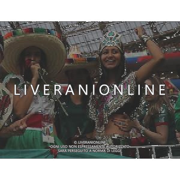 FIFA World Cup Russia 2018 Match No. 011, 2018-06-17 Germany vs Mexico Luzhniki Stadium PILKA NOZNA MISTRZOSTWA SWIATA W PILCE NOZNEJ MUNDIAL ROSJA 2018 NIEMCY - MEKSYK FOT. JOHN BOTOS PROJECT PLUS/NEWSPIX.PL --- Newspix.pl Mexican fans