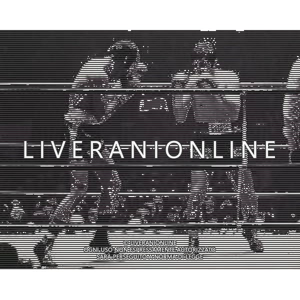 RETROSPETTIVA ARCARI BRUNO PUGILE NELLA FOTO ARCARI BRUNO AG ALDO LIVERANI SAS