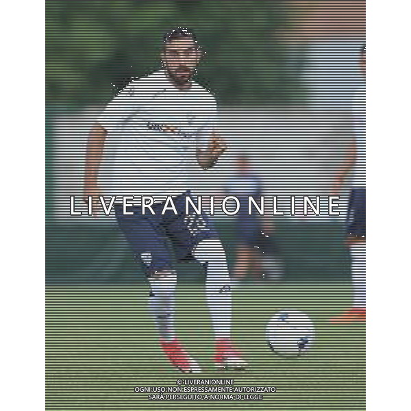 tremolada,singoli brescia calcio.Brescia 19 luglio 2018.ph Fotolive Fabrizio Cattina / AGENZIA ALDO LIVERANI SAS