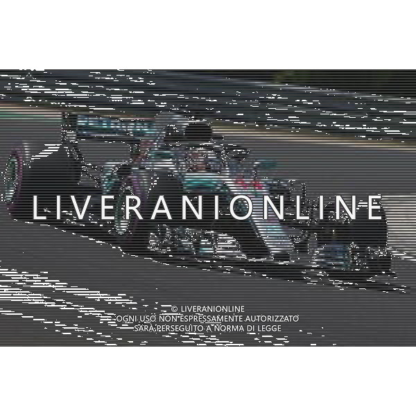 Lewis Hamilton (GBR) Mercedes AMG F1 28.07.2018. Formula 1 World Championship, Rd 12, Hungarian Grand Prix, Budapest, Hungary, Qualifying Day. AG ALDO LIVERANI SAS ONLY ITALY