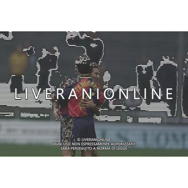 O4-03-2001 GENOVA-CAMPIONATO DI CALCIO SERIE B GENOA TERNANA 2-2 NELLA FOTO ESULTANZE GIOCATORI GENOA DOPO IL GOAL AG ALDO LIVERANI SAS 