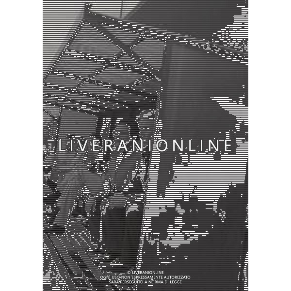 24-11-1985 MONZA-CAMPIONATO DI CALCIO SERIE B MONZA LAZIO 0-0 NELLA FOTO ALFREDO MAGNI ALLENATORE MONZA CALCIO AG ALDO LIVERANI SAS