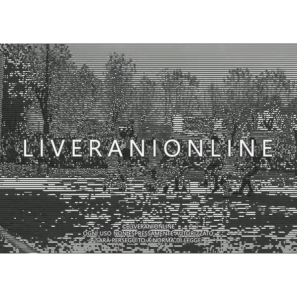 24-11-1985 MONZA-CAMPIONATO DI CALCIO SERIE B MONZA LAZIO 0-0 NELLA FOTO AZIONE DI GIOCO AG ALDO LIVERANI SAS