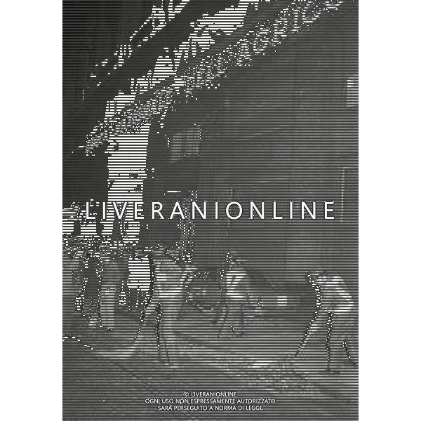 12-12-1969 MILANO ATTENTATO ALLA BANCA NAZIONALE DELL\' AGRICOLTURA IN PIAZZA FONTANA CON 17 VITTIME AG ALDO LIVERANI SAS