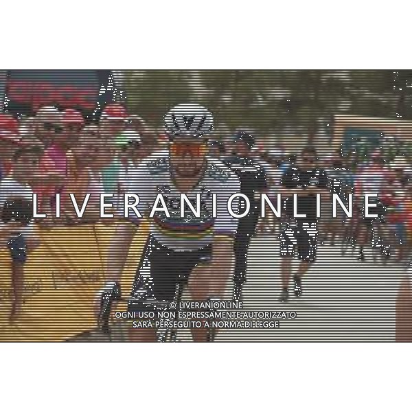 30-08-2018 Vuelta A Espana; Tappa 06 Huercal Overa - San Javier; 2018, Bora - Hansgrohe; Sagan, Peter; Huercal Overa; FOTO STEFANO SIROTTI-AG ALDO LIVERANI SAS