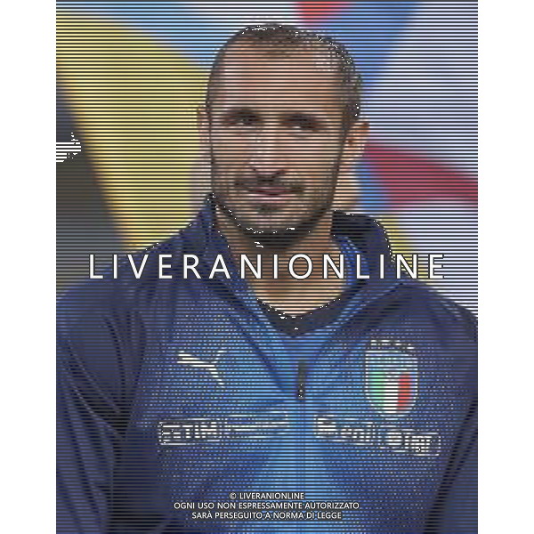 UEFA Nations League A Group 3 Bologna - 07.09.2018 Italia-Polonia Nella Foto:Giorgio Chiellini /Ph.Vitez-Ag. Aldo Liverani