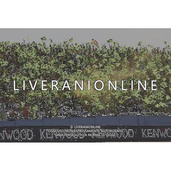 Misano Adriatico ( RN ) 09/09/2018 Misano World Circuit Marco Simoncelli. Gran Premio Octo di San Marino e della Riviera di Rimini 2018 - MOTOGP Nella foto: Pubblico PH Lauro Montagnini AG ALDO LIVERANI SAS