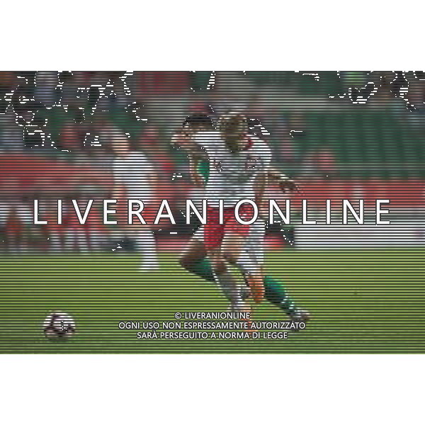 2018.09.11 Wroclaw Pilka nozna Mecz towarzyski Polska - Irlandia N/z Jakub Blaszczykowski, Cyrus Christie Foto Marcin Karczewski / PressFocus 2018.09.11 Wroclaw Football Friendly match Poland - republic of Ireland Jakub Blaszczykowski, Cyrus Christie Credit: Marcin Karczewski / PressFocus / NEWSPIX.PL --- Newspix.pl AG ALDO LIVERANI SAS