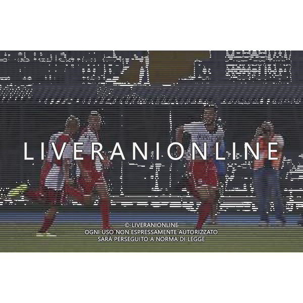 Rimini F.C. - U.S.Triestina Campionato di calcio Lega Pro girone B 22/09/2018 nella foto: Esultanza dopo il gol di Volpe Michele ©Claudio Zamagni/Agenzia Aldo Liverani / AGENZIA ALDO LIVERANI SAS