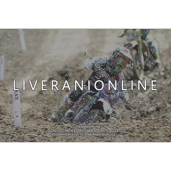 IMOLA 29 09 2018 MOTOCROSS GP OF ITALY NELLA FOTO KIARA FONTANESI FOTO GIANNI SANNA-AG ALDOL IVERANI SAS