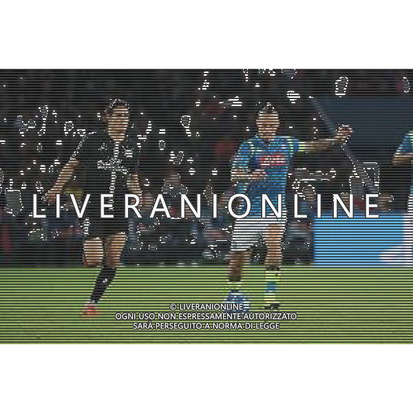 PSG Paris Saint Germain - NAPOLI CHAMPIONS LEAGUE 24.10.2018 NELLA FOTO MAREK HAMSIK, EDINSON CAVANI ©MOSCA/ AGENZIA ALDO LIVERANI SAS