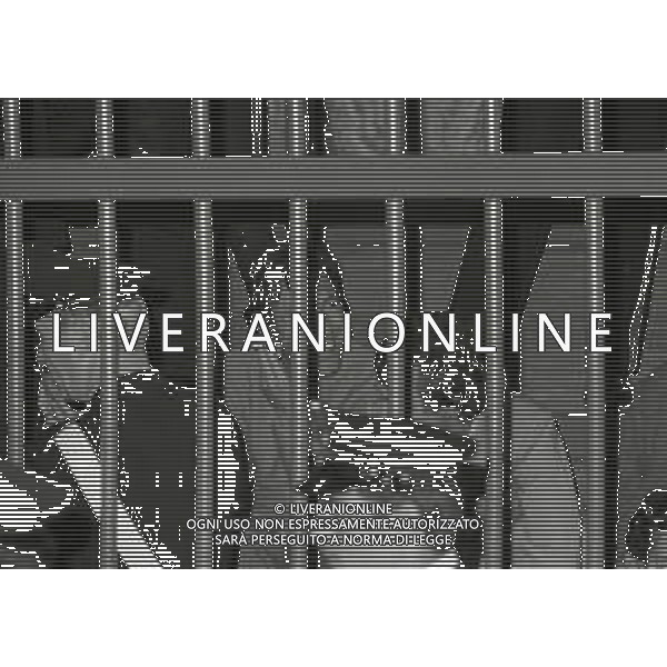 1980 MILANO-PROCESSO MARIO ALUNNI E RENATO VALLANZASCA PER LA FUGA DAL CARCERE DI SAN VITTORE AG ALDO LIVERANI SAS