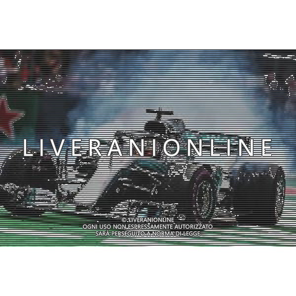 Lewis Hamilton (GBR) Mercedes AMG F1 W09 celebrates winning the World Championship. 28.10.2018. Formula 1 World Championship, Rd 19, Mexican Grand Prix, Mexico City, Mexico, Race Day. AG ALDO LIVERANI SAS-ONLY ITALY