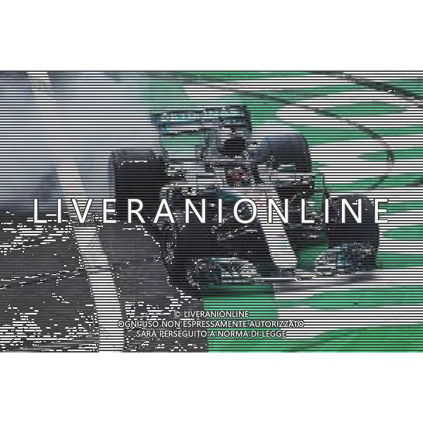Lewis Hamilton (GBR) Mercedes AMG F1 W09 celebrates winning the World Championship. 28.10.2018. Formula 1 World Championship, Rd 19, Mexican Grand Prix, Mexico City, Mexico, Race Day. AG ALDO LIVERANI SAS-ONLY ITALY