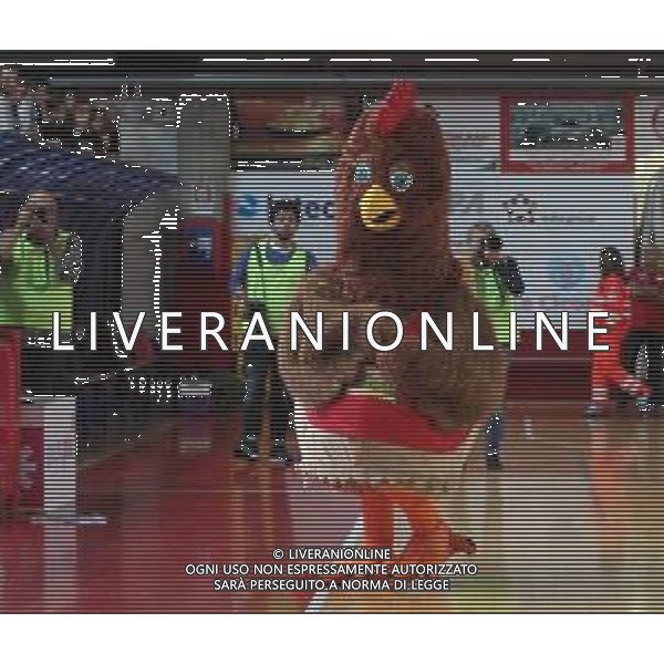 IMOLA 4 NOVEMBRE 2018 BASKET NATURELLE IMOLA BONDI FERRARA NELLA FOTO LA MASCOTTE GINA NATURELLE IMOLA FOTO GIANNI SANNA-AG ALDO LIVERANI SAS