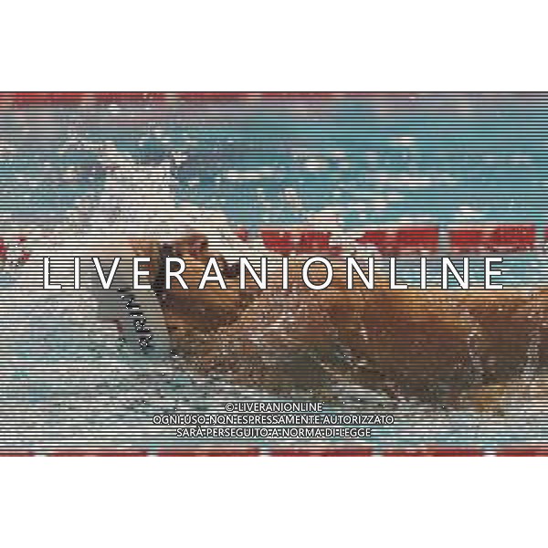 Genova 45° Trofeo Nico Sapio Genova (Italia) - 09.11.2018 45° Trofeo Nico Sapio Nella Foto: Nicola Turrini /Ph.Cebrelli-Ag. Aldo Liverani