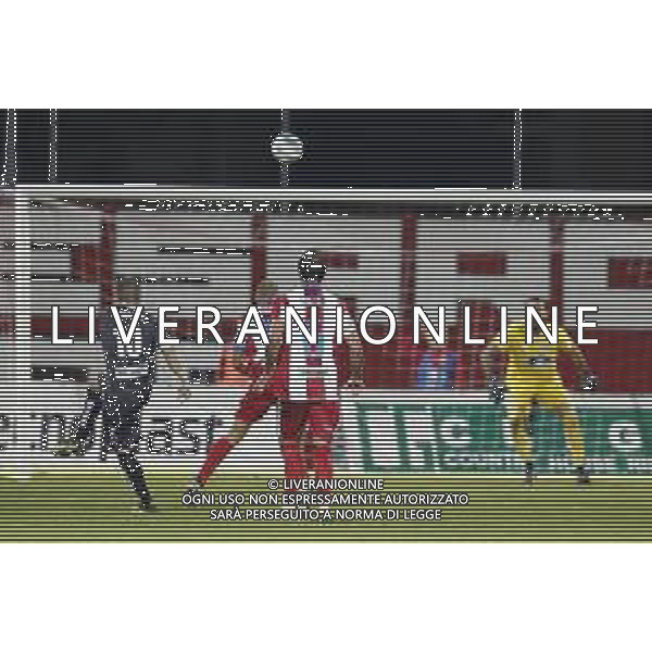 VIS PESARO - MONZA Campionato di calcio serie C girone B 11/11/2018 nella foto: goal D’Errico Andrea (Monza 1912) ©Claudio Zamagni/Agenzia Aldo Liverani