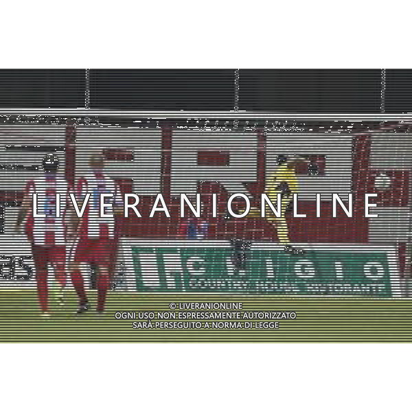 VIS PESARO - MONZA Campionato di calcio serie C girone B 11/11/2018 nella foto: goal D’Errico Andrea (Monza 1912) ©Claudio Zamagni/Agenzia Aldo Liverani