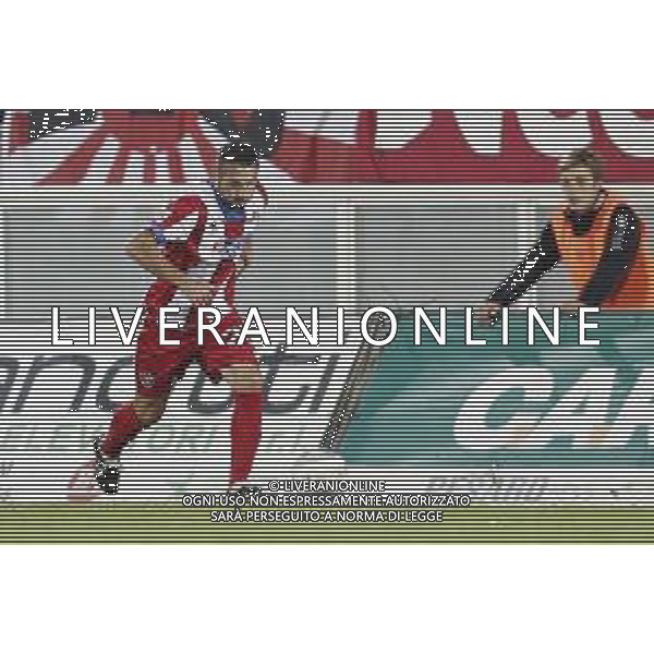 VIS PESARO - MONZA Campionato di calcio serie C girone B 11/11/2018 nella foto: Hadziosmanovic ©Claudio Zamagni/Agenzia Aldo Liverani
