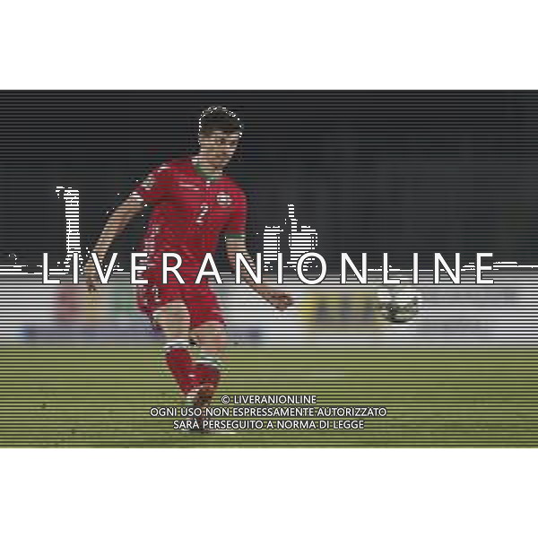 UEFA Nations League D gruppo 2 San Marino - Bielorussia 18/11/2018 nella foto: Stanislav Dragun (Bielorussia - Belarus) ©Claudio Zamagni/Agenzi Aldo Liverani s.a.s. Stanislav Dragun (Bielorussia - Belarus) during UEFA Nations League Group Stage D - group 2 between San Marino and Belarus at San Marino Olympic Stadium on November 18 2018 photo credit by Claudio Zamagni/Aldo Liverani Photo Agency / AGENZIA ALDO LIVERANI SAS