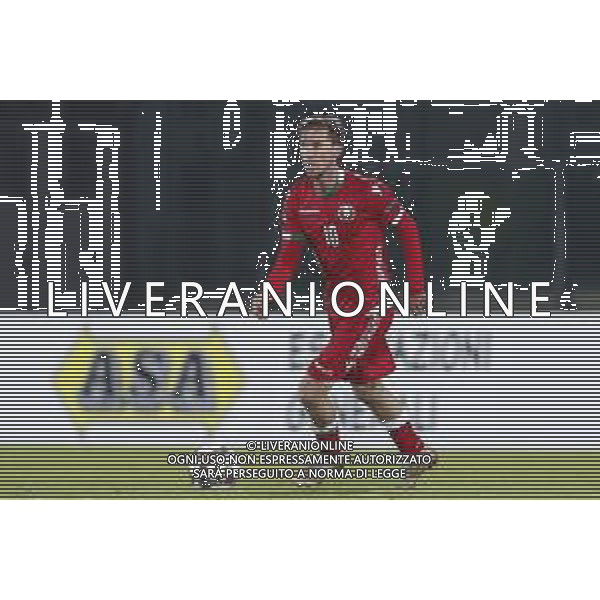 UEFA Nations League D gruppo 2 San Marino - Bielorussia 18/11/2018 nella foto: Aleksandr Hlelb (Bielorussia - Belarus) ©Claudio Zamagni/Agenzi Aldo Liverani s.a.s. Aleksandr Hlelb (Bielorussia - Belarus) during UEFA Nations League Group Stage D - group 2 between San Marino and Belarus at San Marino Olympic Stadium on November 18 2018 photo credit by Claudio Zamagni/Aldo Liverani Photo Agency / AGENZIA ALDO LIVERANI SAS