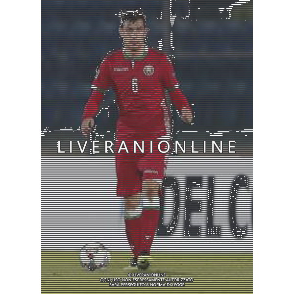 UEFA Nations League D gruppo 2 San Marino - Bielorussia 18/11/2018 nella foto: Sergei Politevich (Bielorussia - Belarus) ©Claudio Zamagni/Agenzi Aldo Liverani s.a.s. Sergei Politevich (Bielorussia - Belarus) during UEFA Nations League Group Stage D - group 2 between San Marino and Belarus at San Marino Olympic Stadium on November 18 2018 photo credit by Claudio Zamagni/Aldo Liverani Photo Agency / AGENZIA ALDO LIVERANI SAS