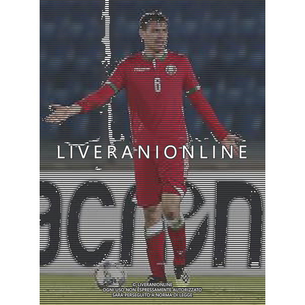 UEFA Nations League D gruppo 2 San Marino - Bielorussia 18/11/2018 nella foto: Sergei Politevich (Bielorussia - Belarus) ©Claudio Zamagni/Agenzi Aldo Liverani s.a.s. Sergei Politevich (Bielorussia - Belarus) during UEFA Nations League Group Stage D - group 2 between San Marino and Belarus at San Marino Olympic Stadium on November 18 2018 photo credit by Claudio Zamagni/Aldo Liverani Photo Agency / AGENZIA ALDO LIVERANI SAS