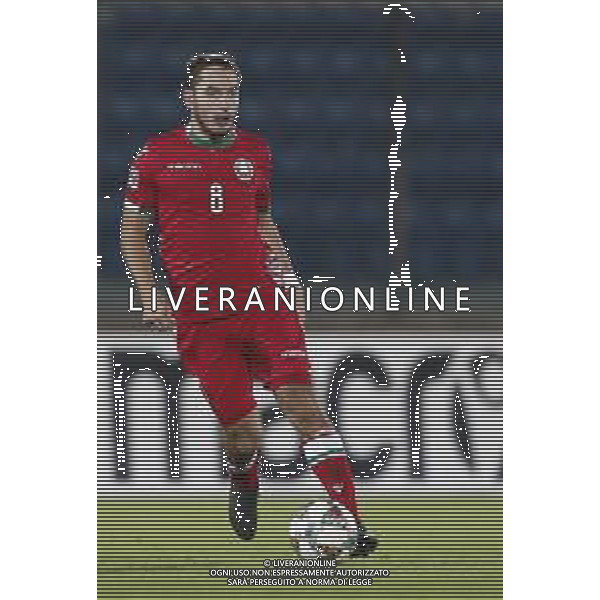 UEFA Nations League D gruppo 2 San Marino - Bielorussia 18/11/2018 nella foto: Pavel Savitski (Bielorussia - Belarus) ©Claudio Zamagni/Agenzi Aldo Liverani s.a.s. Pavel Savitski (Bielorussia - Belarus) during UEFA Nations League Group Stage D - group 2 between San Marino and Belarus at San Marino Olympic Stadium on November 18 2018 photo credit by Claudio Zamagni/Aldo Liverani Photo Agency / AGENZIA ALDO LIVERANI SAS