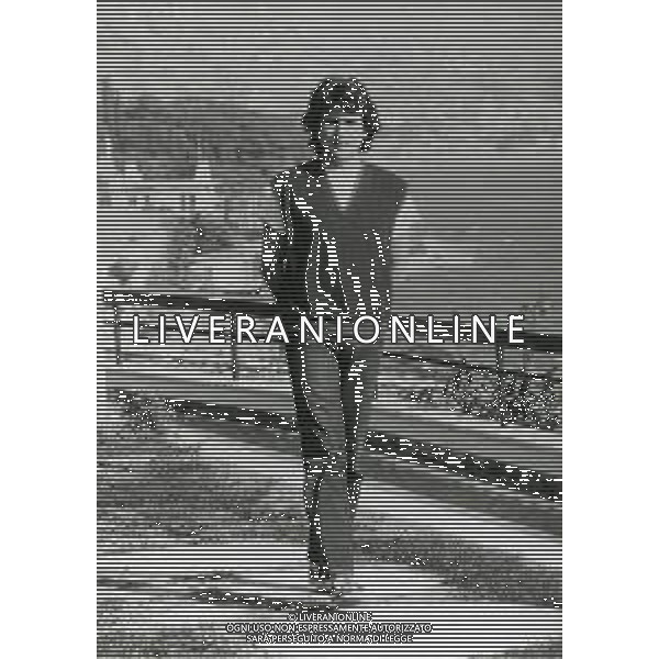 RETROSPETTIVA TOTO CUTUGNO CANTANTE NELLA FOTO TOTO CUTUGNO AG ALDO LIVERANI SAS