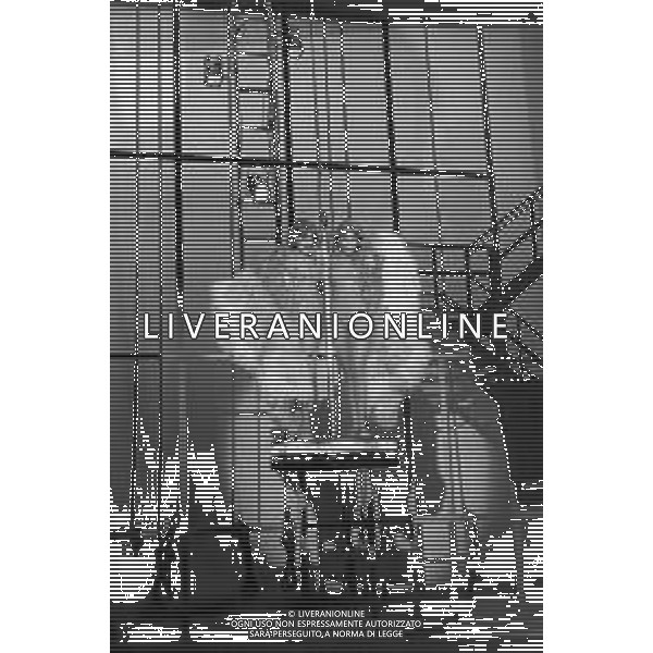 Le Gemelle Alice e Ellen Kessler, ballerine e cantanti tedesche - RETROSPETTIVA ©ARCHIVIO / AGENZIA ALDO LIVERANI SAS