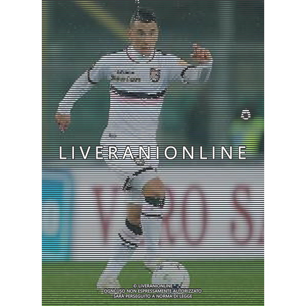 Campionato di Calcio Serie B BKT 2018/2019 13a Verona - 23.11.2018 Verona-Palermo Nella Foto:falletti /Ph.Vitez-Ag. Aldo Liverani