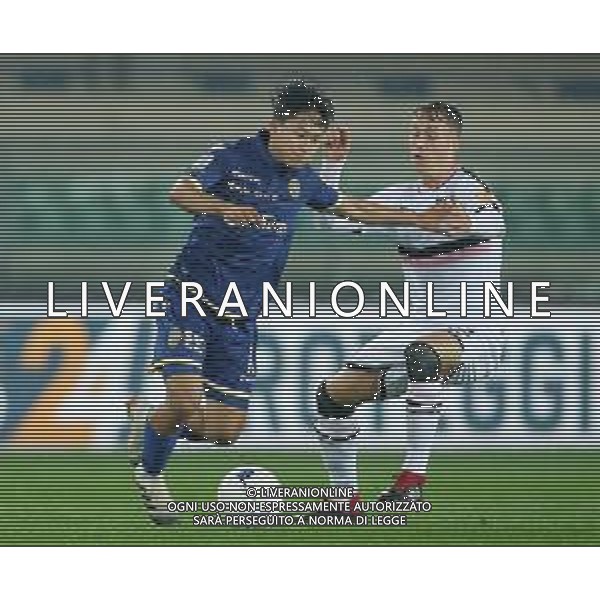 Campionato di Calcio Serie B BKT 2018/2019 13a Verona - 23.11.2018 Verona-Palermo Nella Foto:lee haas /Ph.Vitez-Ag. Aldo Liverani