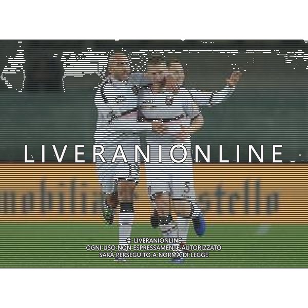 Campionato di Calcio Serie B BKT 2018/2019 13a Verona - 23.11.2018 Verona-Palermo Nella Foto:rajkovic esulta /Ph.Vitez-Ag. Aldo Liverani