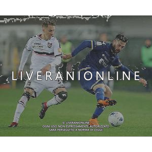 Campionato di Calcio Serie B BKT 2018/2019 13a Verona - 23.11.2018 Verona-Palermo Nella Foto:di carmine haas /Ph.Vitez-Ag. Aldo Liverani