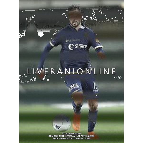 Campionato di Calcio Serie B BKT 2018/2019 13a Verona - 23.11.2018 Verona-Palermo Nella Foto:Samuel Di Carmine /Ph.Vitez-Ag. Aldo Liverani