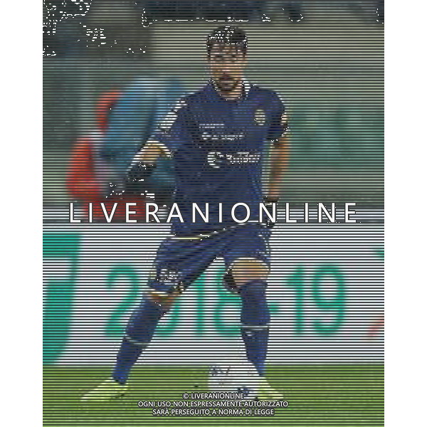 Campionato di Calcio Serie B BKT 2018/2019 13a Verona - 23.11.2018 Verona-Palermo Nella Foto:Ryder Matos /Ph.Vitez-Ag. Aldo Liverani