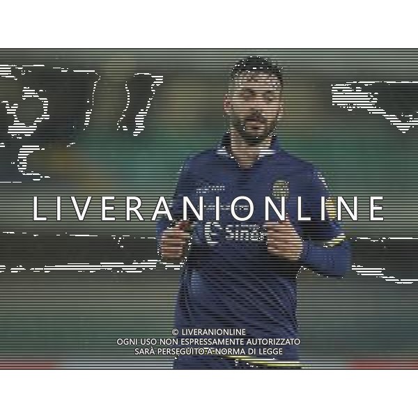 Campionato di Calcio Serie B BKT 2018/2019 13a Verona - 23.11.2018 Verona-Palermo Nella Foto:Samuel Di Carmine /Ph.Vitez-Ag. Aldo Liverani