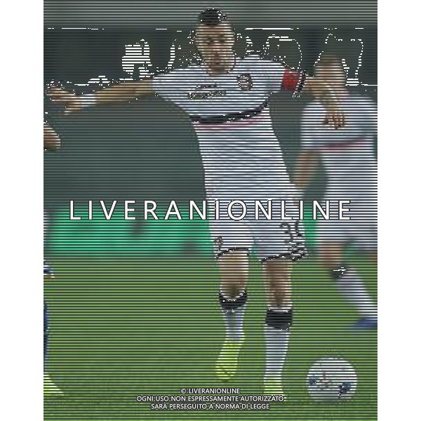 Campionato di Calcio Serie B BKT 2018/2019 13a Verona - 23.11.2018 Verona-Palermo Nella Foto:Llija Nestorovski /Ph.Vitez-Ag. Aldo Liverani
