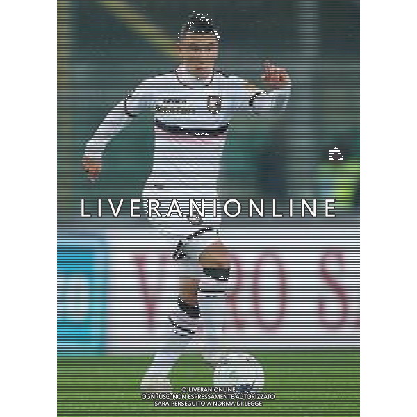 Campionato di Calcio Serie B BKT 2018/2019 13a Verona - 23.11.2018 Verona-Palermo Nella Foto:Alejandro Falletti /Ph.Vitez-Ag. Aldo Liverani