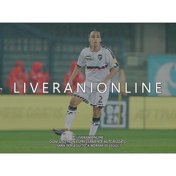 Campionato di Calcio Serie B BKT 2018/2019 13a Verona - 23.11.2018 Verona-Palermo Nella Foto:Giuseppe Bellusci /Ph.Vitez-Ag. Aldo Liverani