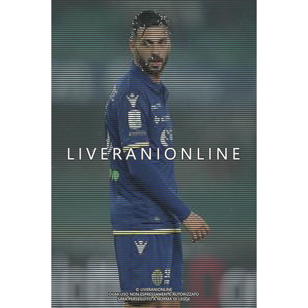 Campionato di Calcio Serie B BKT 2018/2019 13a Verona - 23.11.2018 Verona-Palermo Nella Foto:Samuel Di Carmine /Ph.Vitez-Ag. Aldo Liverani