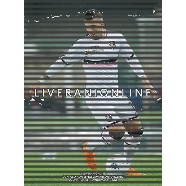 Campionato di Calcio Serie B BKT 2018/2019 13a Verona - 23.11.2018 Verona-Palermo Nella Foto:Aleksandar Trajkovski /Ph.Vitez-Ag. Aldo Liverani