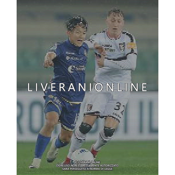 Campionato di Calcio Serie B BKT 2018/2019 13a Verona - 23.11.2018 Verona-Palermo Nella Foto:Seung.Woo Lee - Nicolas Haas /Ph.Vitez-Ag. Aldo Liverani