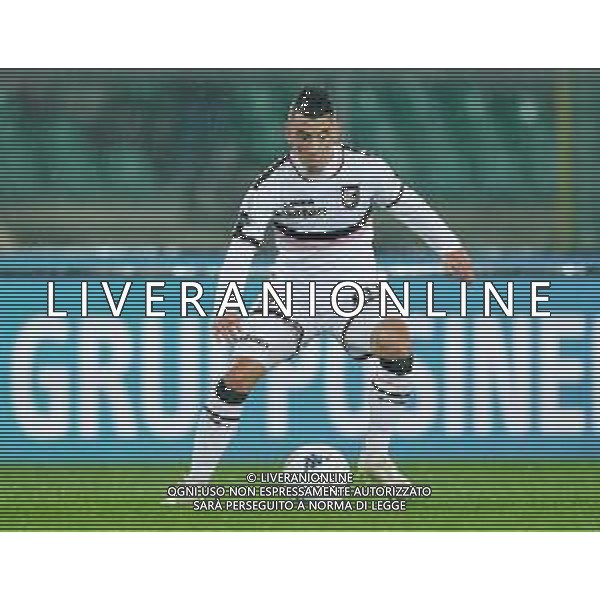 Campionato di Calcio Serie B BKT 2018/2019 13a Verona - 23.11.2018 Verona-Palermo Nella Foto:Alejandro Falletti /Ph.Vitez-Ag. Aldo Liverani