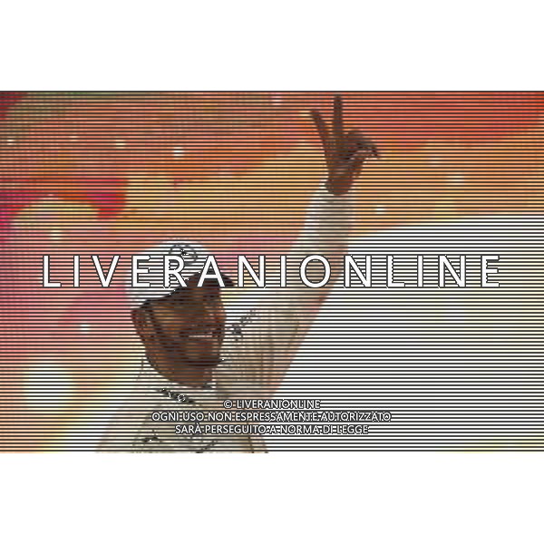 Race winner Lewis Hamilton (GBR) Mercedes AMG F1 W09 celebrates in parc ferme. 25.11.2018. Formula 1 World Championship, Rd 21, Abu Dhabi Grand Prix, Yas Marina Circuit, Abu Dhabi, Race Day. AG ALDO LIVERANI SAS-ONLY ITALY