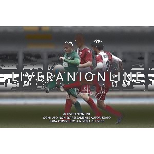Rimini - Virtus Verona Campionato di calcio serie C girone B 25/11/2018 nella foto: Montanari Andrea (Rimini fc) ©Claudio Zamagni/Agenzia Aldo Liverani / AGENZIA ALDO LIVERANI SAS