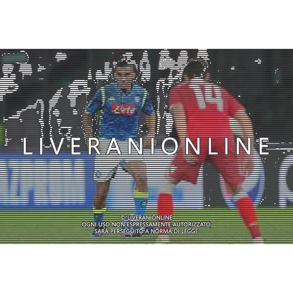 NAPOLI - STELLA ROSSA BELGRADO CHAMPIONS LEAGUE 28.11.2018 NELLA FOTO MARQUEZ ALLAN ©MOSCA / AGENZIA ALDO LIVERANI SAS