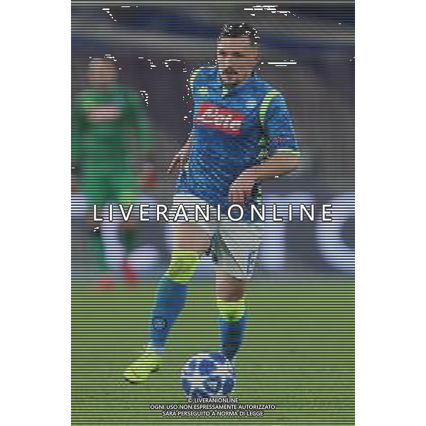 28-11-2018 NAPOLI STELLA ROSSA CHAMPIONS LEAGUE NELLA FOTO: MARIO RUI FOTO MOSCA, AG.LIVERANI