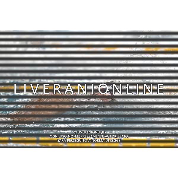 RICCIONE 30/11/2018 - Campionato Italiano Open di Nuoto in vasca corta nella foto: Domenico Acerenza ©Claudio Zamagni/Agenzia Aldo Liverani / AGENZIA ALDO LIVERANI SAS